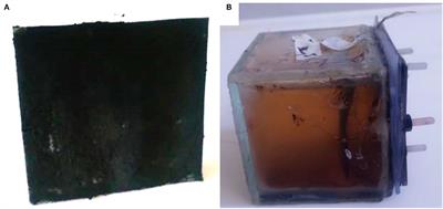 Devilfish bone char, an alternative material to be used as bioanode in microbial fuel cells
